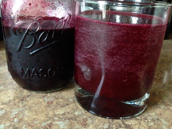 Lemon Blueberry Soda ready for sipping